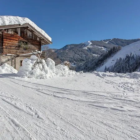 Hinterbichlhof - Apartmán Viehhofen